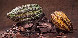 Cacao-Behandlung von der Kosmetikerin Sema Harman